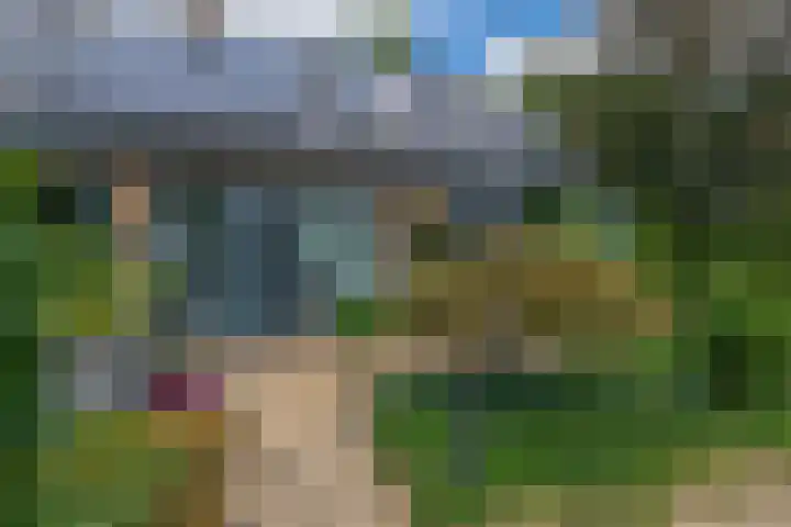 Parkkamp 37 Havelte thumbnail 63