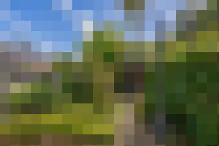 Parkkamp 37 Havelte thumbnail 67