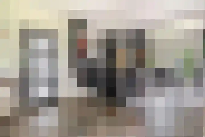 Parkkamp 37 Havelte thumbnail 7