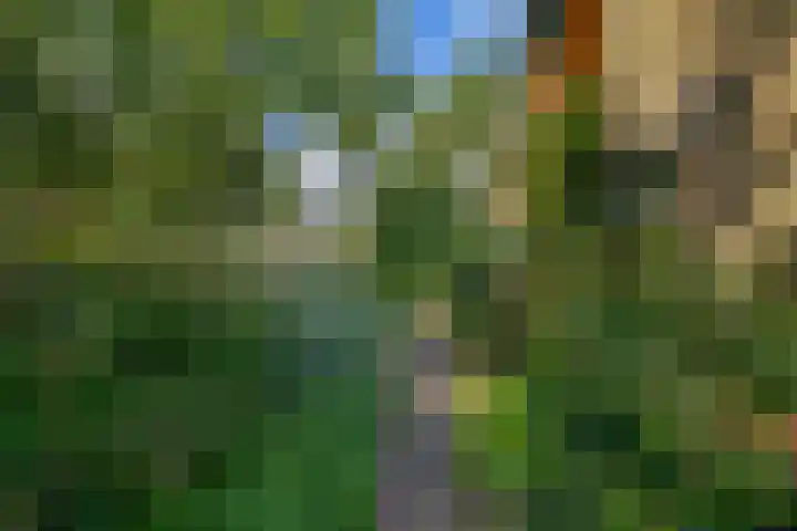Parkkamp 37 Havelte thumbnail 75