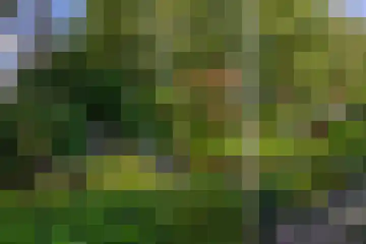 Parkkamp 37 Havelte thumbnail 76