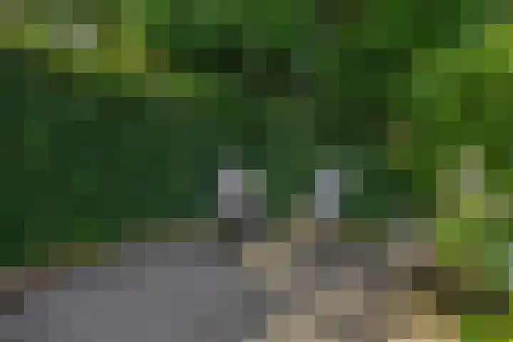 Parkkamp 37 Havelte thumbnail 77