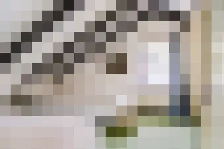 Parklaan 116 Putte thumbnail 16