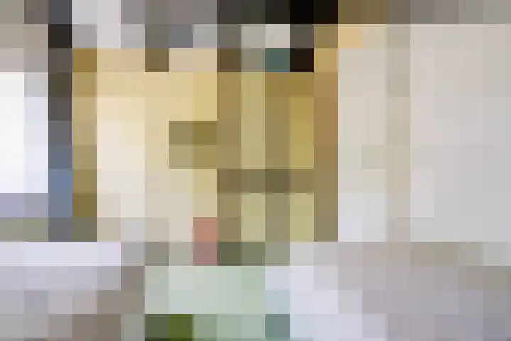 Parklaan 116 Putte thumbnail 18