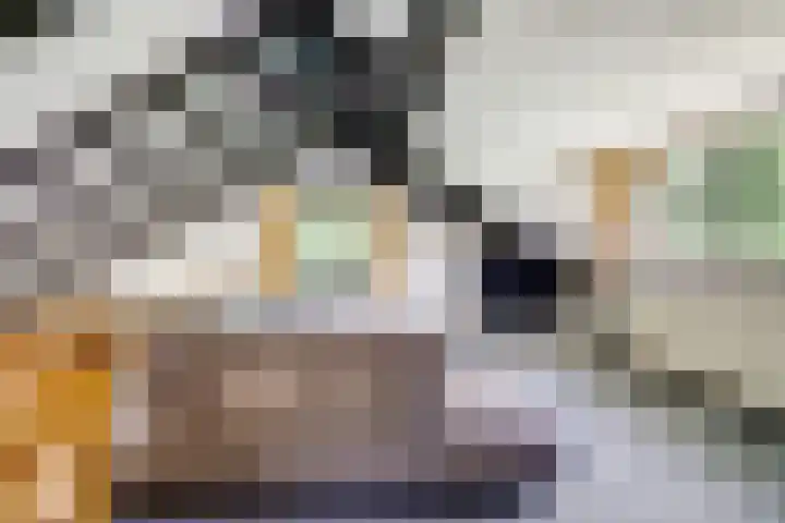 Parklaan 116 Putte thumbnail 19