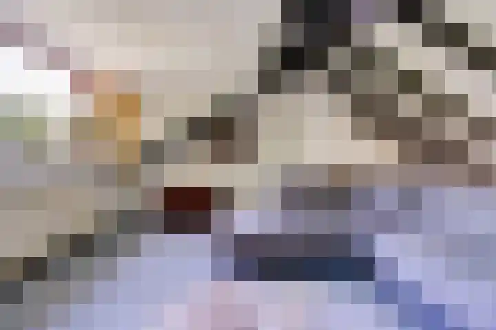 Parklaan 116 Putte thumbnail 20