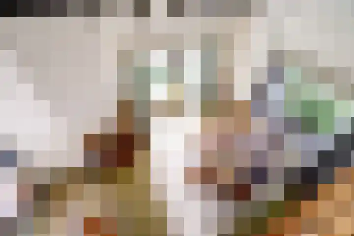 Parklaan 116 Putte thumbnail 21