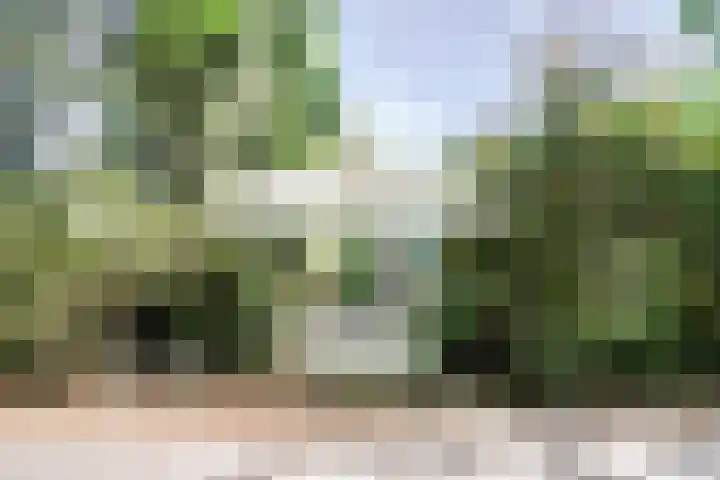 Parklaan 116 Putte thumbnail 22