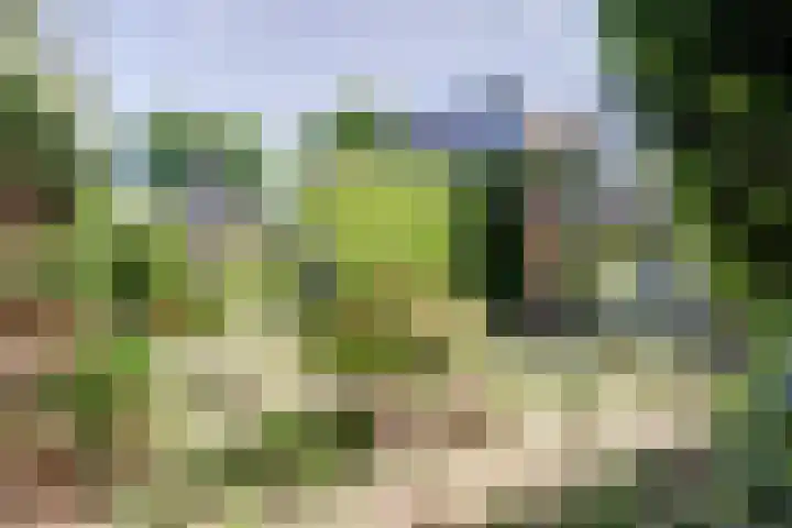 Parklaan 116 Putte thumbnail 24