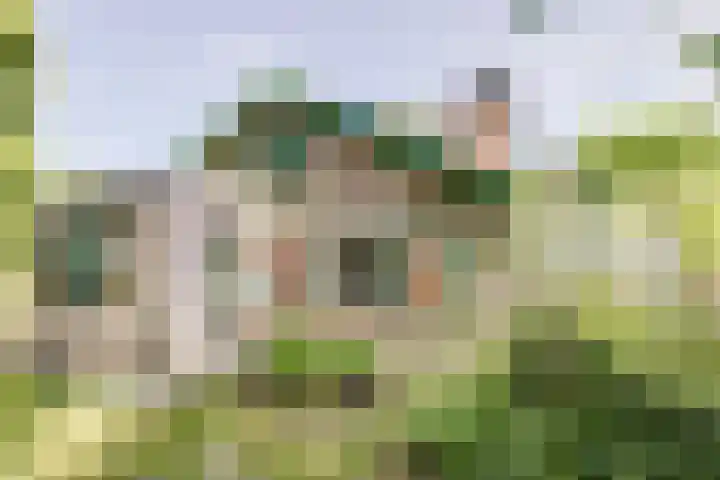 Parklaan 116 Putte thumbnail 41