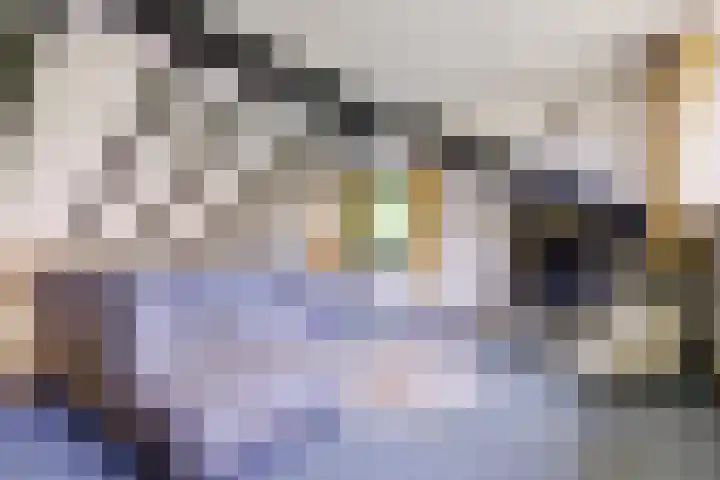 Parklaan 116 Putte thumbnail 5