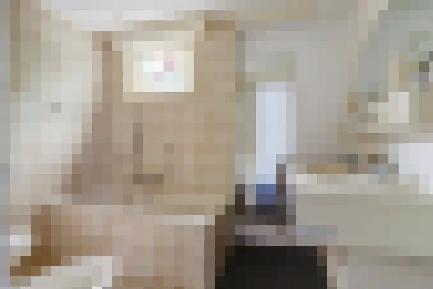 Parklaan 120 Putte thumbnail 19