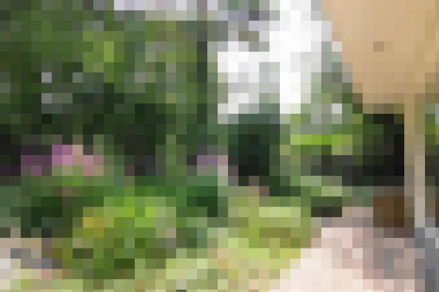 Parklaan 120 Putte thumbnail 27