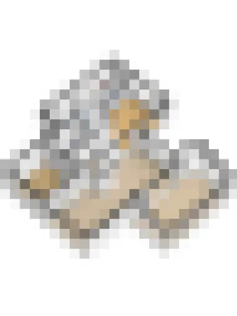 Parklaan 120 Putte thumbnail 34