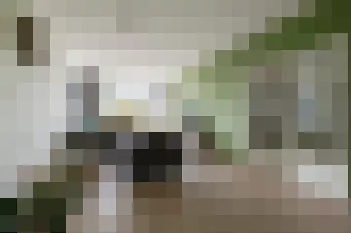 Parklaan 143 Culemborg thumbnail 8