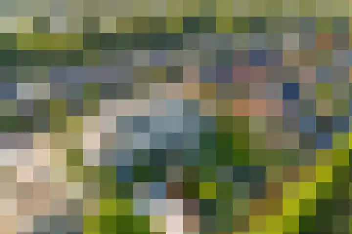 Parklaan 145 Boskoop thumbnail 58