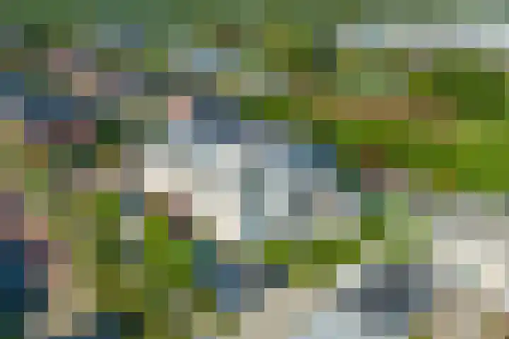 Parklaan 145 Boskoop thumbnail 61
