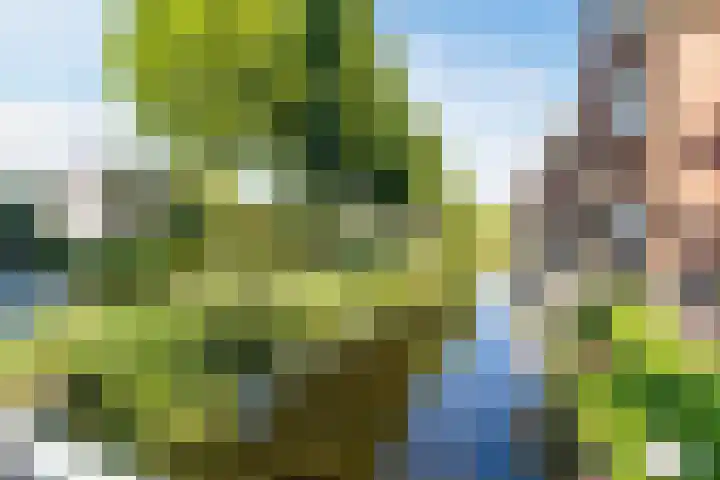 Parklaan 145 Boskoop thumbnail 69