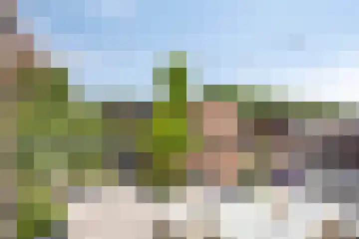Parklaan 17 IJsselstein thumbnail 35