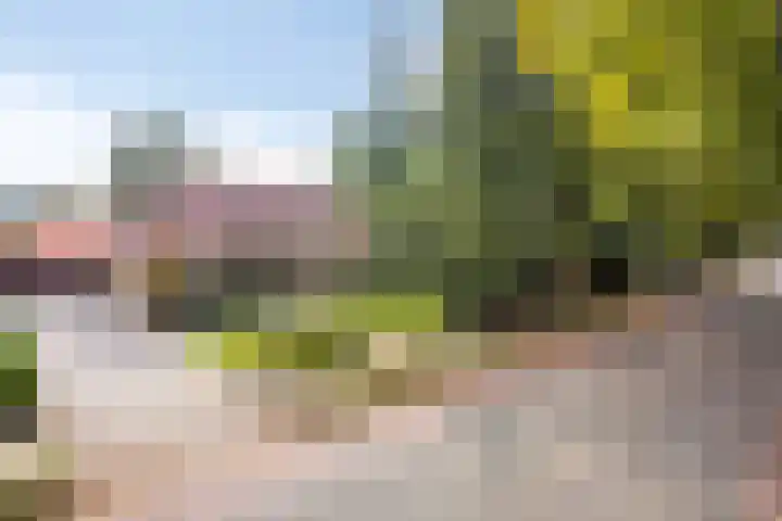 Parklaan 17 Weert thumbnail 4
