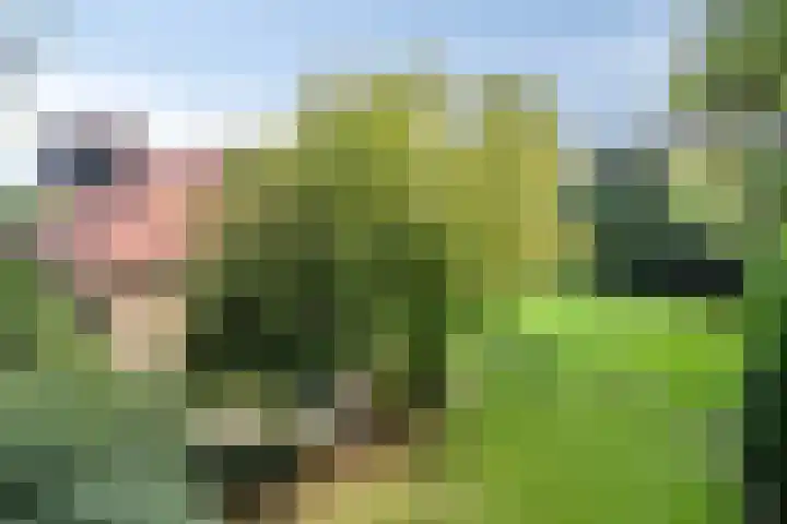 Parklaan 17 Weert thumbnail 65