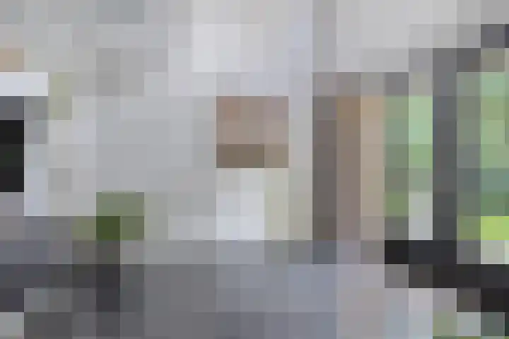 Parklaan 17 Weert thumbnail 7