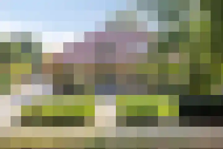 Parklaan 17 Weert thumbnail 71