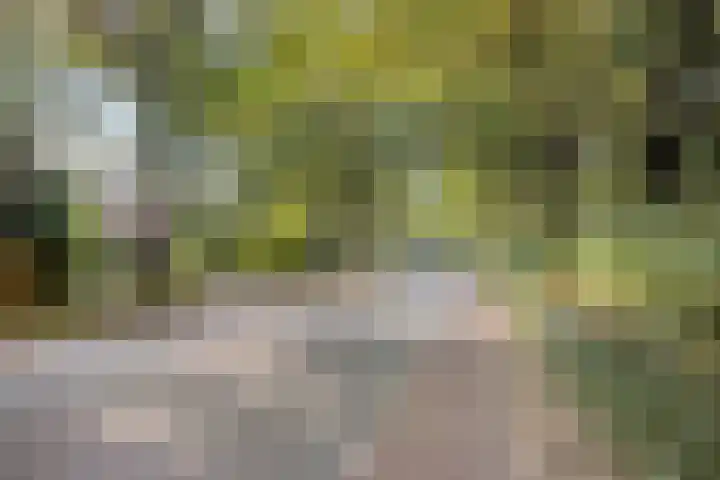 Parklaan 17 Weert thumbnail 72