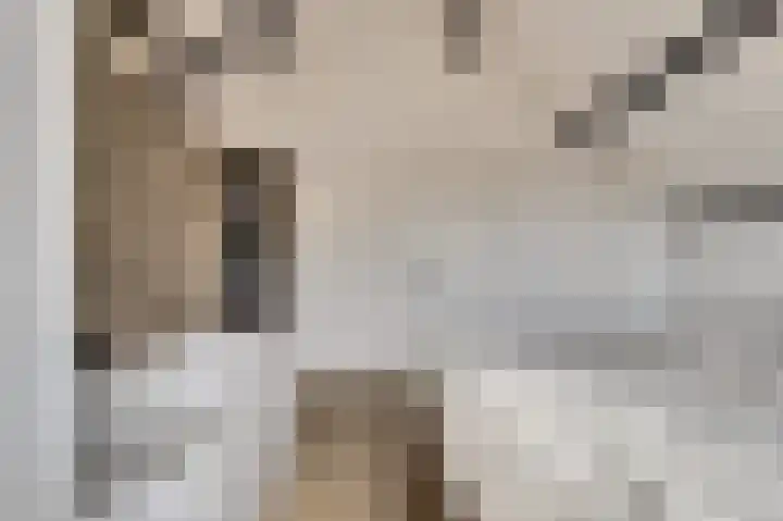 Parklaan 2 Kapelle thumbnail 30