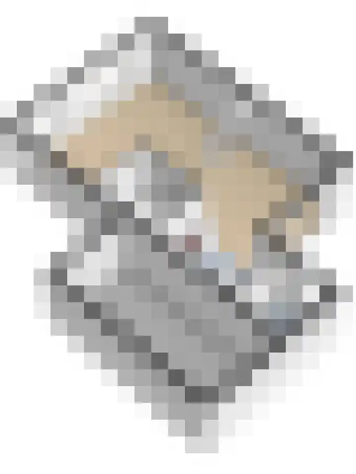 Parklaan 2 Kapelle thumbnail 48