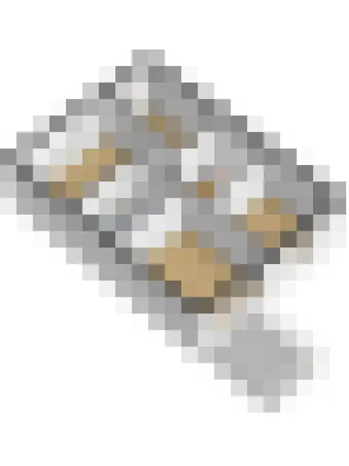 Parklaan 2 Kapelle thumbnail 49