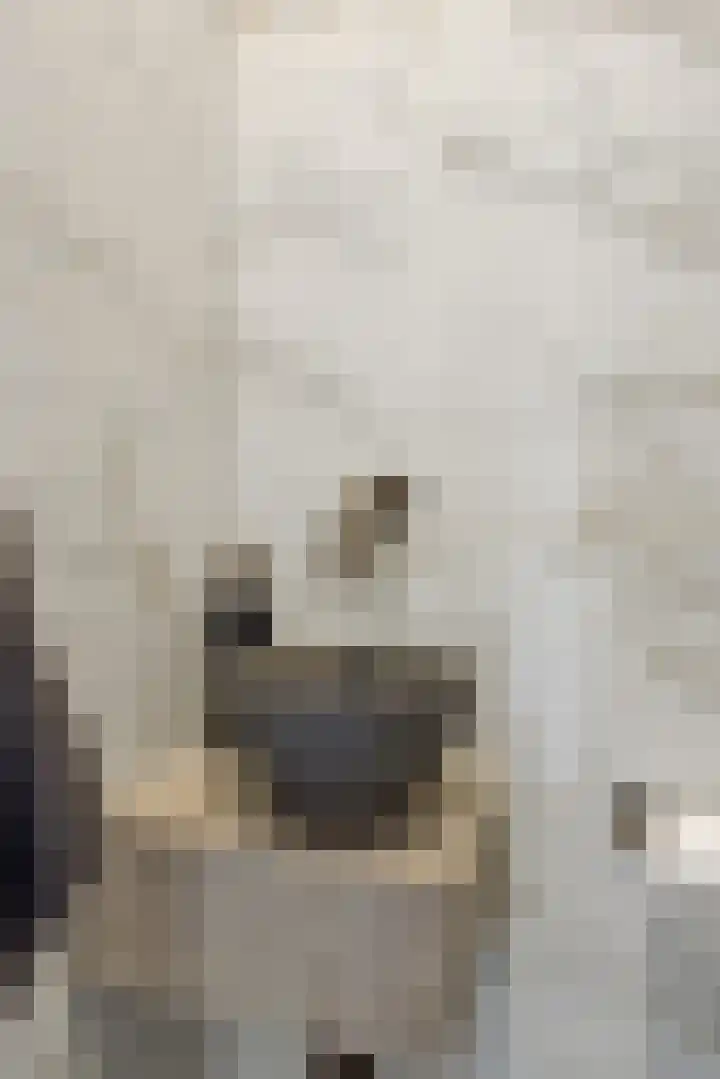 Parklaan 2 Oss thumbnail 14