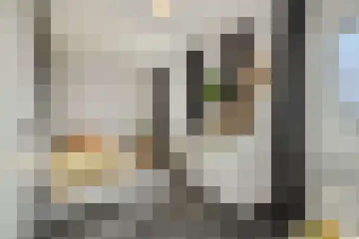Parklaan 2 Oss thumbnail 20