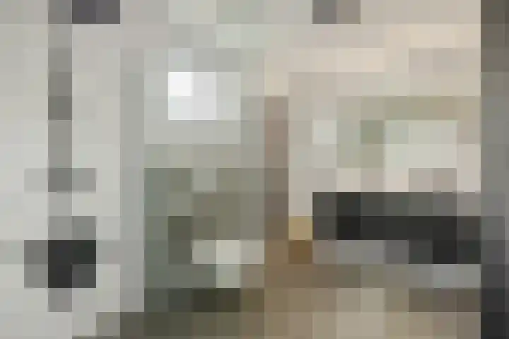 Parklaan 2 Oss thumbnail 22