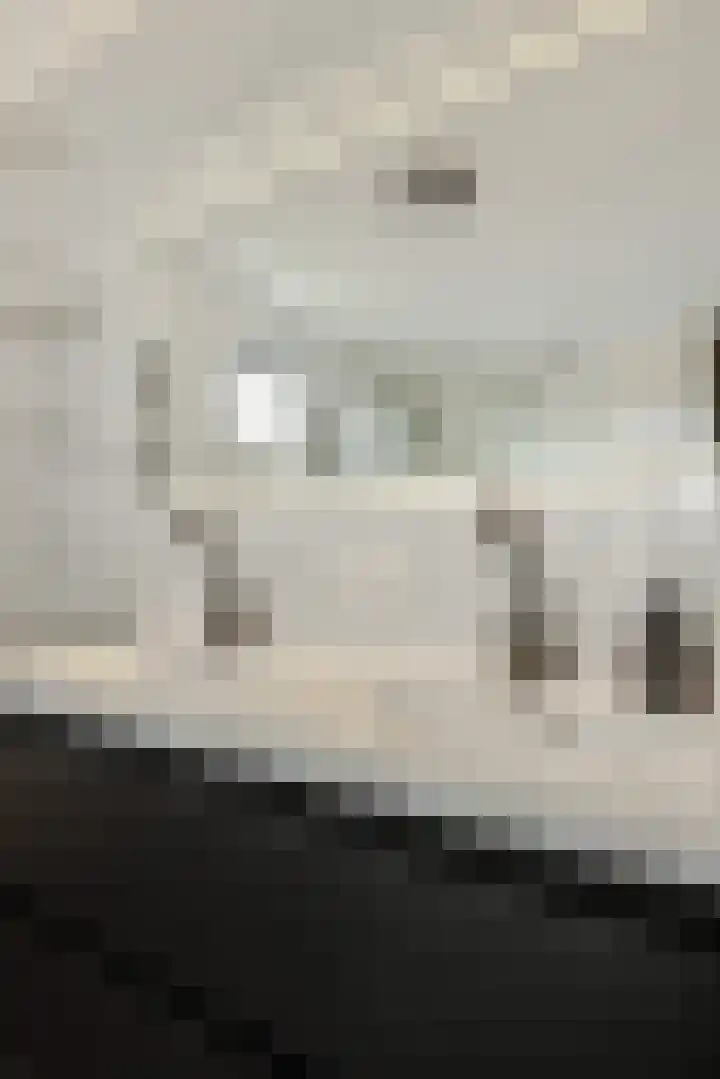 Parklaan 2 Oss thumbnail 23