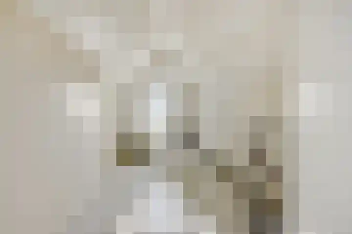 Parklaan 2 Oss thumbnail 26