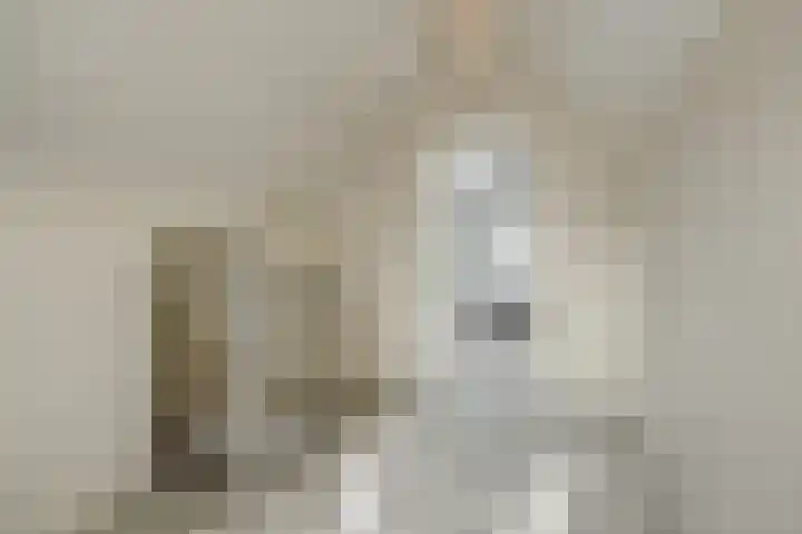 Parklaan 2 Oss thumbnail 27