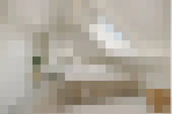 Parklaan 2 Oss thumbnail 28