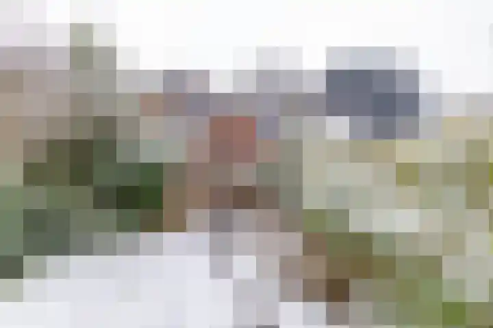 Parklaan 2 Oss thumbnail 29