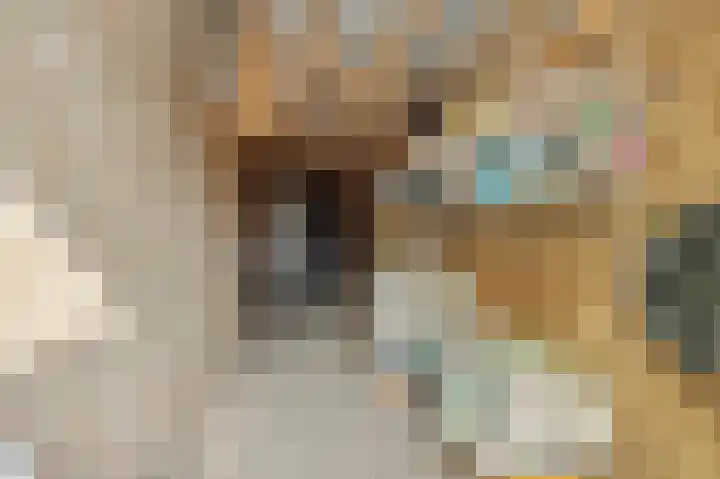 Parklaan 2 Oss thumbnail 35