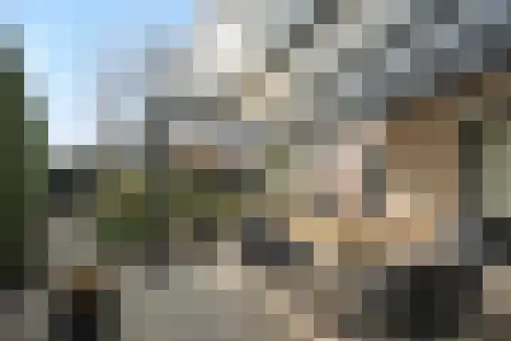 Parklaan 2 Oss thumbnail 36