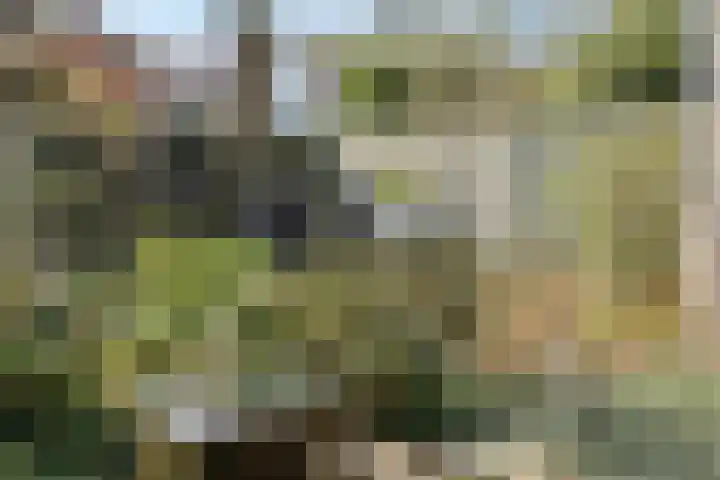 Parklaan 2 Oss thumbnail 37