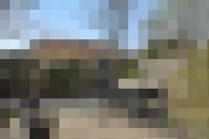 Parklaan 2 Oss thumbnail 39