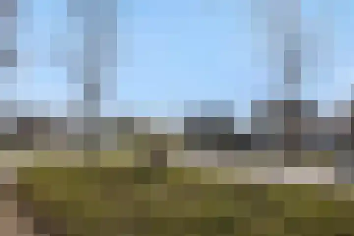 Parklaan 2 Oss thumbnail 43