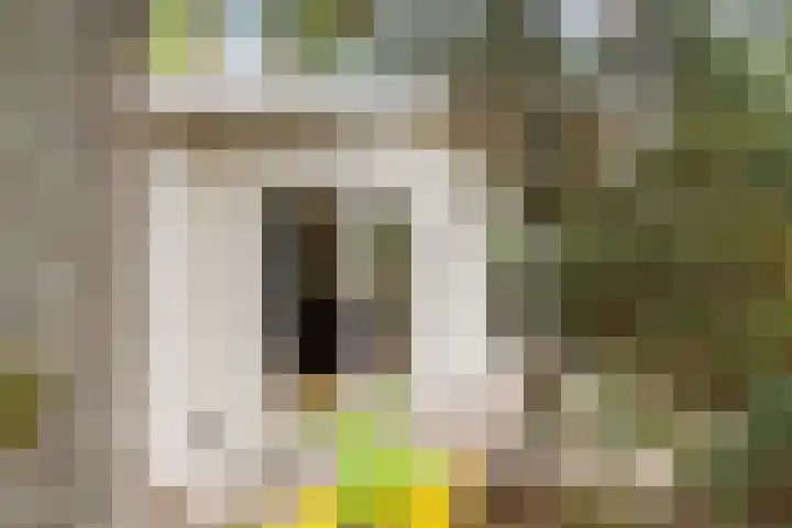 Parklaan 2 Oss thumbnail 48