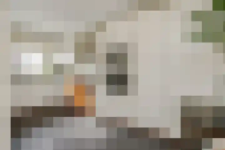 Parklaan 2 Oss thumbnail 7