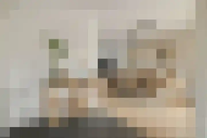 Parklaan 2 Oss thumbnail 9