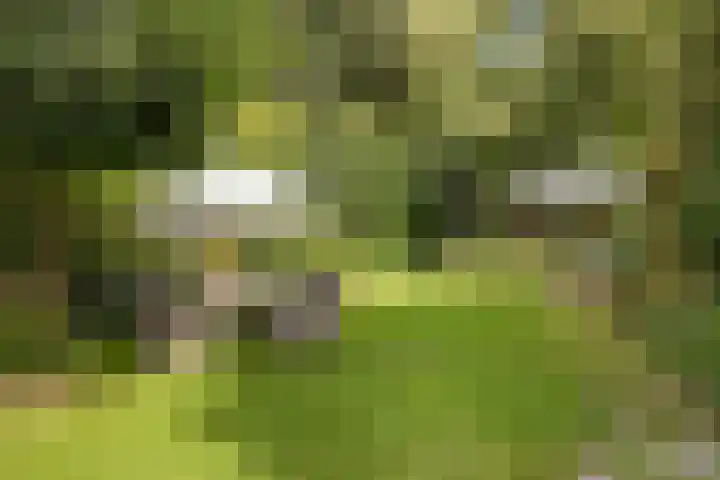 Parklaan 29 Soest thumbnail 38