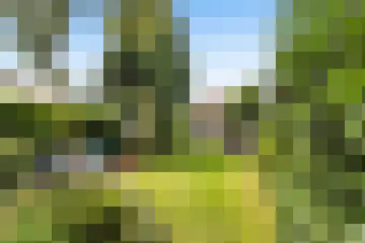 Parklaan 29 Soest thumbnail 39