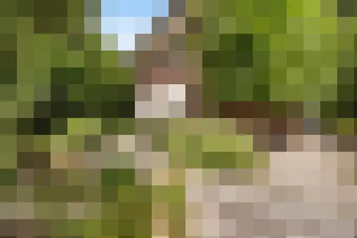 Parklaan 29 Soest thumbnail 50